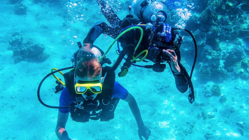 Everything you need for scuba diving: A complete gear guide